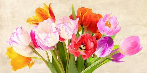 2LC2929-Tulips-in-Spring-FLEURS--Luca-Villa