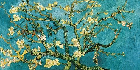 Image 2VG051 Mandorlo in fiore (detail) PEINTRE FLEURS Vincent van Gogh
