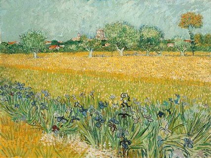 3VG114-Field-with-Irises-near-Arles--PEINTRE-PAYSAGE-Vincent-van-Gogh