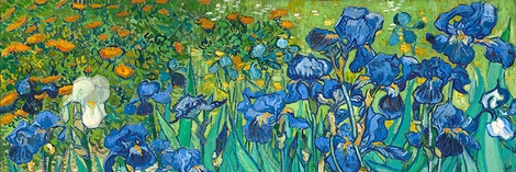 4VG5862-Vincent-van-Gogh-Irises-(detail)