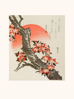 Image Katsushika Hokusai Branche de cerisier en fleurs 1890 SE_HokusaiBranchedecerisierenfleursLabitEst3