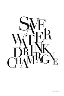 Image wa66613 Mercedes Lopez Charro Save Water drink Champagne