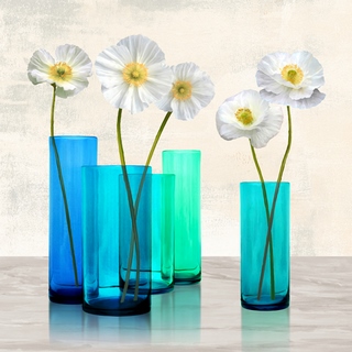 Image 1AN4582 Cynthia Ann Poppies in crystal vases (Aqua I) FLEURS 