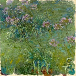 Image 1CM1530 Agapanthe PEINTRE FLEURS Claude Monet