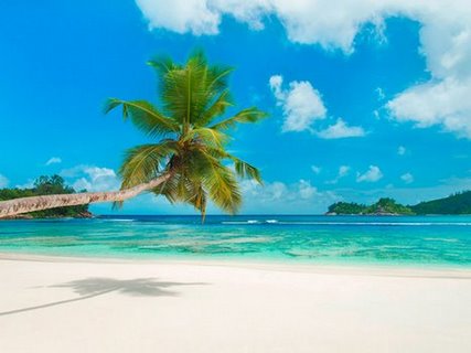 3AP3308-Tropical-beach-Seychelles-(detail)-PAYSAGE-MARIN-Anonymous-