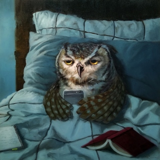 Image h1752d Lucia Heffernan Night Owl