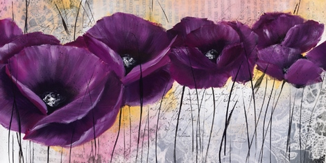 Image ig3993 Pavot violet I FLEURS   Isabelle Zacher-Finet