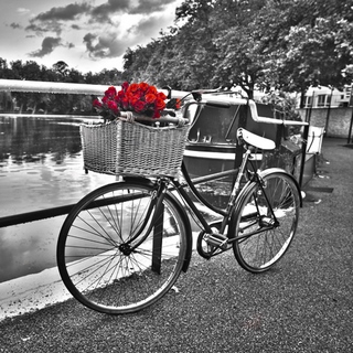 Image ig5623 Assaf Frank Romantic Roses I URBAIN VEHICULE